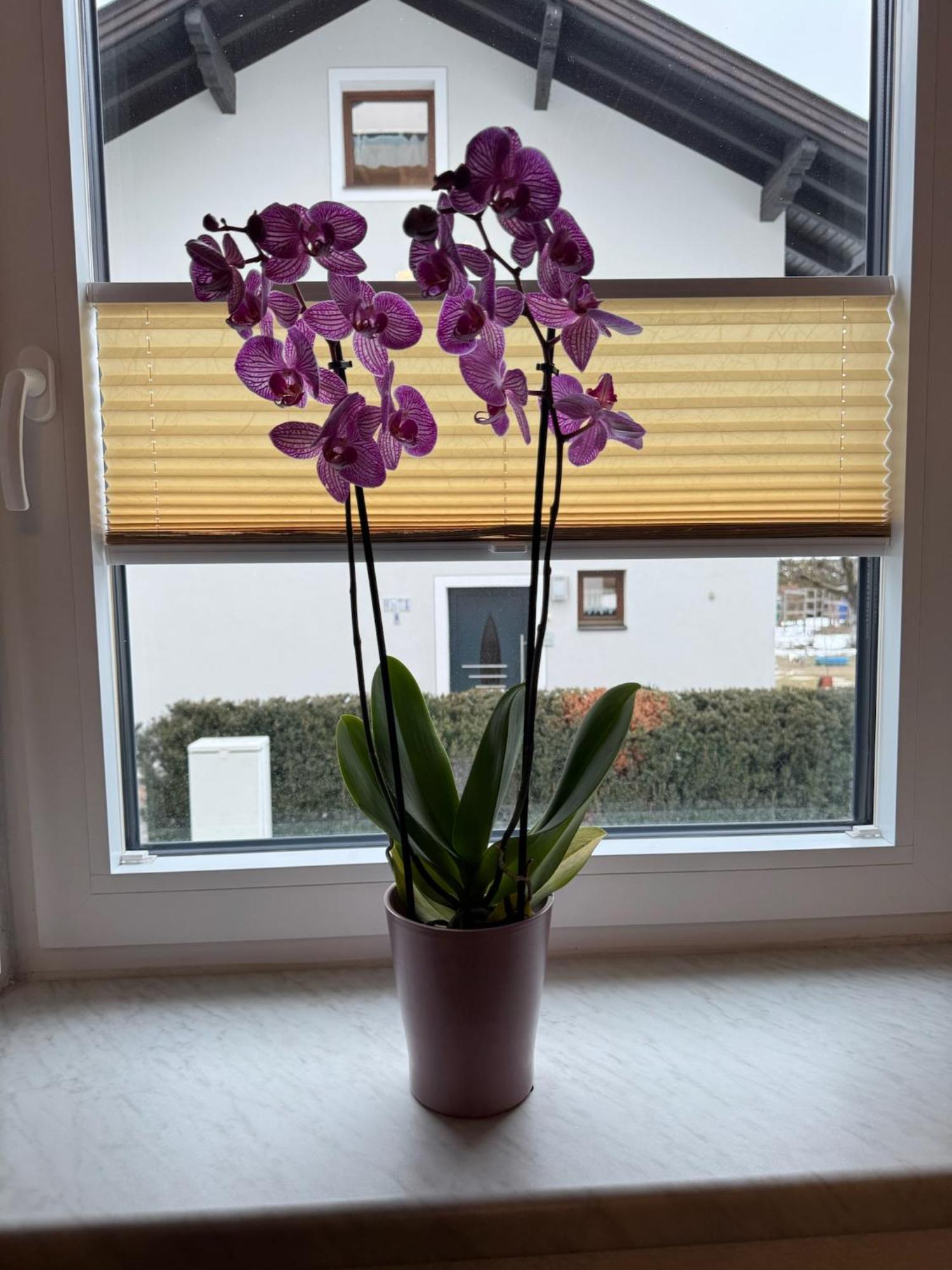 Ferienwohnung Rauchkofelblick Debant 外观 照片